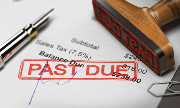 modelo factura autónomo deuda pagada